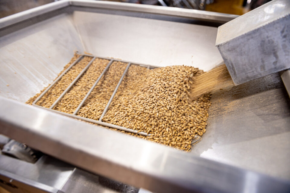 ABF's New Zealand Division Targets Milling Assets ABF, Agriculture, Associated British Foods, business expansion, milling assets, New Zealand Food and Beverage Business