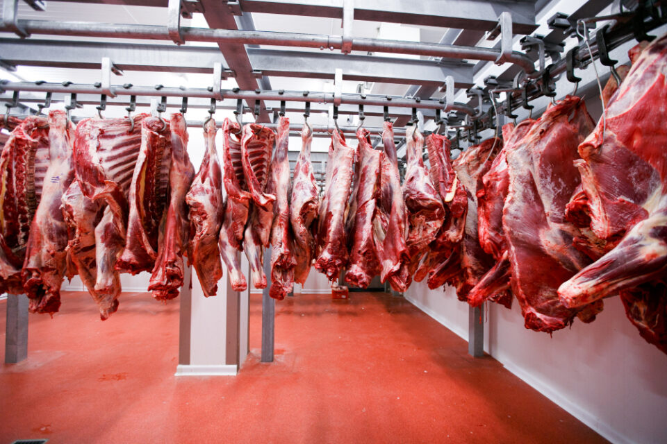 Zito Group of Croatia Acquires Majority Stake in Pork Producer MI Ravlić acquisition, Croatia, Food Industry, investment, Livestock, majority stake, meat, MI Ravlić, Pork, Zito Group Food and Beverage Business