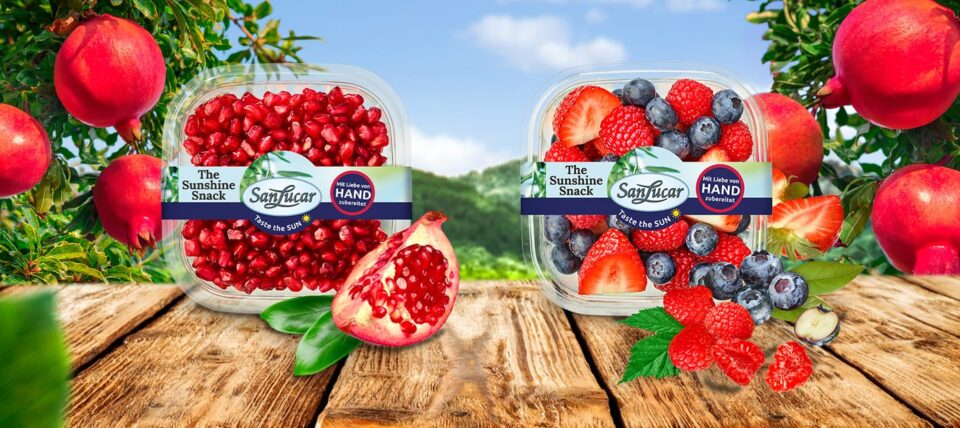 SanLucar Increases Its Presence in France by Acquiring Stake in Buonanno Fresh produce Food and Beverage Business