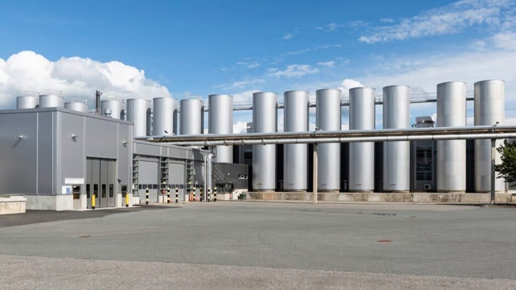 Valio to close former Raisio fava-beans site