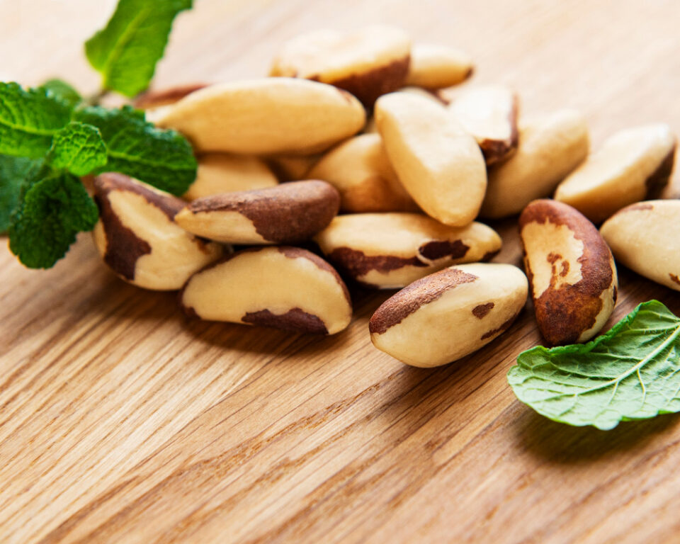 Brazil Nut Prices Surge Amidst Supply Shortage Amazon, bertholletia excelsa, burn, CO₂, destroy, disaster, farmland, field, flames, forestry, Global warming, Grain, harvest, Heat, natural, Tropical, warming, wood Food and Beverage Business