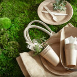 Gen Z Prefers Eco-Friendly Packaging abandoned, coffee cup, color image, Cup, Environment, garbage, garbage dump, Grass, green color, horizontal, image, land, lying down, midday, Nature, no people, objects/equipment, off-center, outdoors, photography, plant, polystyrene, rejection, single object, summer, sunlight, White Food and Beverage Business