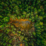 Mondelez Advocates for Additional Delay on EU Deforestation Regulation (EUDR) Mondelez International Food and Beverage Business