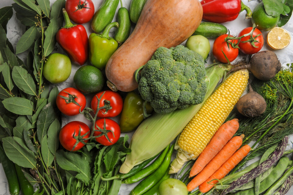 Government Unveils New UK Food Strategy Policy Paper food, Government, paper, Policy, strategy, UK Food and Beverage Business