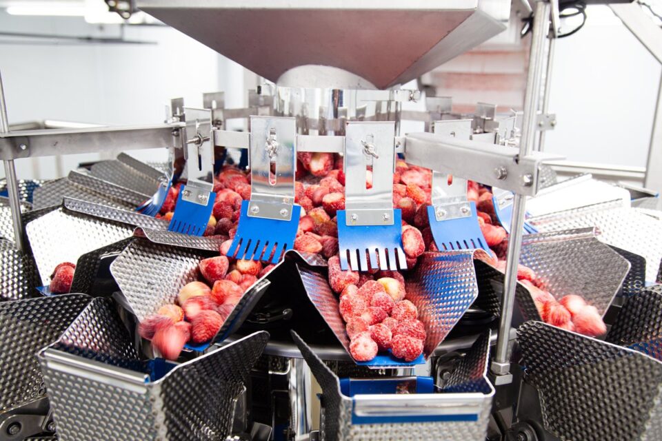 Enhanced Production Capacity at AgroAguiar Through Ishida's Weighing Consistency food and drink packaging, food and drink sustainable packaging, Food packaging, retail Food and Beverage Business