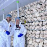 Urban Farm-It Launches Second Mushroom Farm in the UK Agriculture, Farming Expansion, food production, Mushroom Farm, Sustainability, UK, Urban Farm, Urban Farming Food and Beverage Business