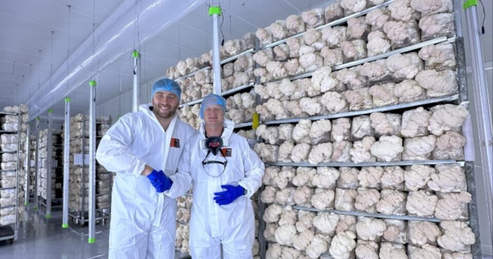 Urban Farm-It Launches Second Mushroom Farm in the UK Agriculture, Farming Expansion, food production, Mushroom Farm, Sustainability, UK, Urban Farm, Urban Farming Food and Beverage Business