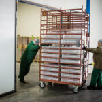 Unite Achieves Recognition for Members at UK Cold Storage Facility cold storage, industrial hall, members, Recognition, site, UK, Unite Food and Beverage Business