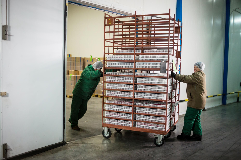 Unite Achieves Recognition for Members at UK Cold Storage Facility cold storage, industrial hall, members, Recognition, site, UK, Unite Food and Beverage Business