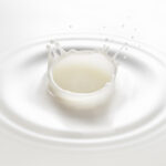 Lactalis Secures Fonterra Assets in Successful Bid acquisition, assets, bid, business, dairy, Fonterra, investment, Lactalis, secures, successful Food and Beverage Business