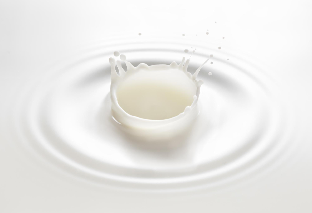 Lactalis Secures Fonterra Assets in Successful Bid Food and Beverage Business Lactalis Secures Fonterra Assets in Successful Bid acquisition, assets, bid, business, dairy, Fonterra, investment, Lactalis, secures, successful Food and Beverage Business