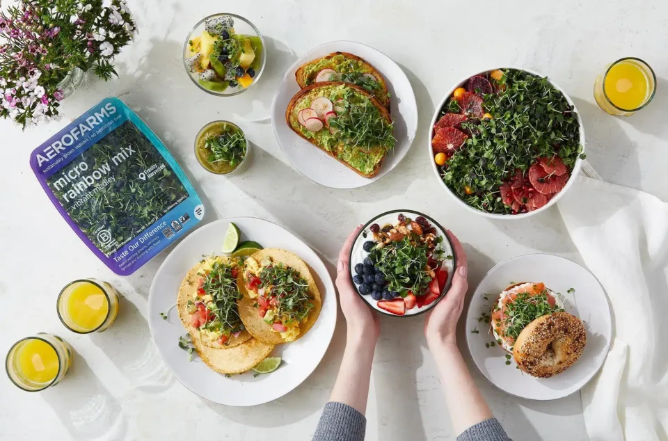 AeroFarms Secures Funding for Expansion of Second Vertical Farm AeroFarms, Agriculture, expansion, Fresh produce, funding, innovation, Sustainability, vertical farm Food and Beverage Business