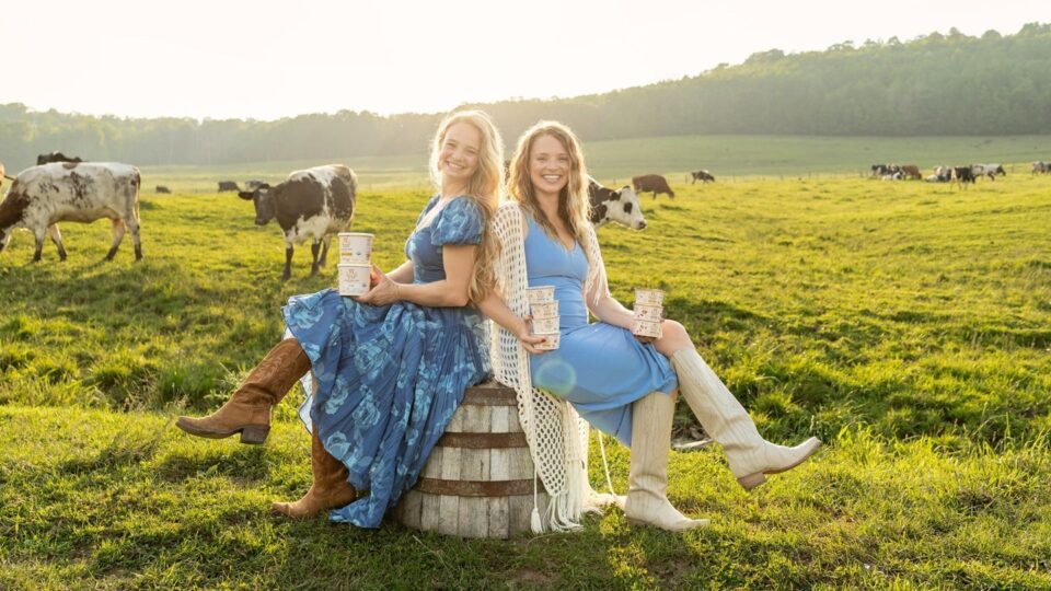Painterland Sisters, the U.S. Skyr Yogurt Company, Secures Seed Funding Dairy & Soy Food Food and Beverage Business