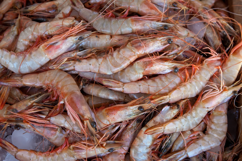 Poland's Suempol Acquires Shrimp Processor Van Biesen & Peiters acquires, acquisition, Biesen, business news, Fish & Seafood, Here are some tags based on the title: Poland, Peiters, Poland's, processor, Seafood, Shrimp, Suempol, Van, Van Biesen Food and Beverage Business