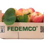 FEDEMCO Unveils Digital Passport for Wooden Packaging at Fruit Attraction connected packaging, events, food and drink packaging, food and drink sustainable packaging, Food packaging, QR Food and Beverage Business