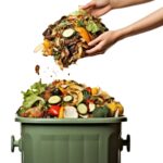 EU Implements New Food Waste Regulations adopted, EU, food, NEW, rules, Waste Food and Beverage Business