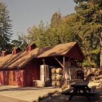 Freeman Vineyard Winery Achieves Organic Certification and Launches Eco-Friendly Packaging for Harvest Season beverage packaging, food and drink packaging, food and drink sustainable packaging, Resource Efficiency Food and Beverage Business