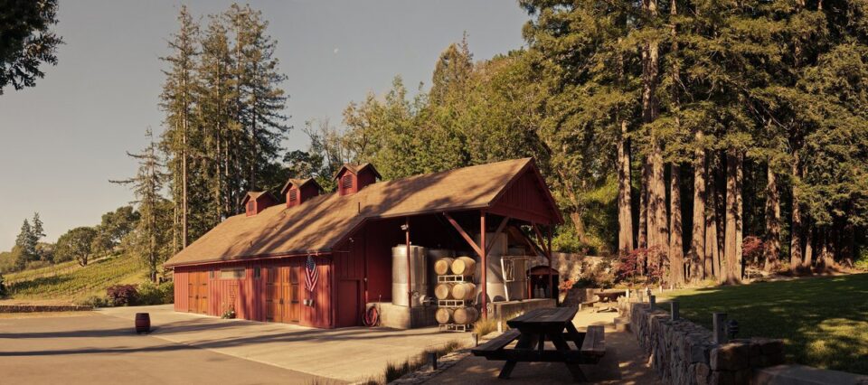 Freeman Vineyard Winery Achieves Organic Certification and Launches Eco-Friendly Packaging for Harvest Season beverage packaging, food and drink packaging, food and drink sustainable packaging, Resource Efficiency Food and Beverage Business