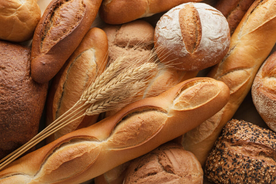 Yorkshire Bakery Business Acquired from EG Group 30-34 years, acquisition, baked, baker, bakery, bakery acquisition, Baking, baking sheet, Bread, bridgend, business, carrying, chef's whites, close up, color image, commercial kitchen, corporate news, EG Group, expertise, Food and Drink, food and drink industry, Food Industry, freshness, hand, Here are some tags based on the title "Yorkshire bakery business acquired from EG Group": Yorkshire, holding, horizontal, indoors, loaf, local business, medium group of objects, mid adult, mid adult women, mid glamorgan, midsection, occupation, one person, organic, people, photography, preparation, skill, United kingdom, Warm, Woman, working Food and Beverage Business