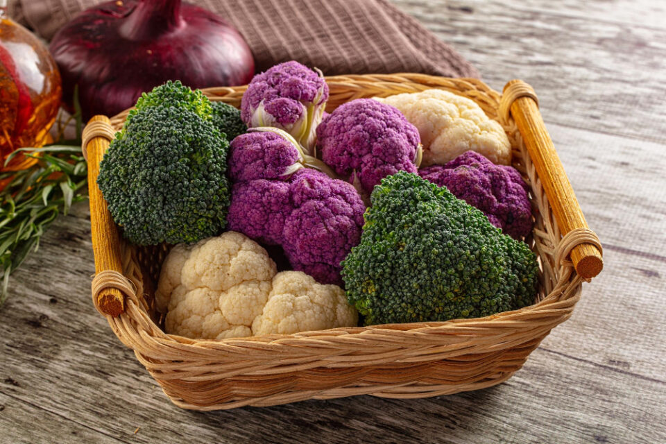 EAT-Lancet Report Urges Boost in Fresh Produce Production Agriculture, EAT-Lancet, environmental impact, food system, Fresh produce, healthy eating, production, report, Sustainability Food and Beverage Business
