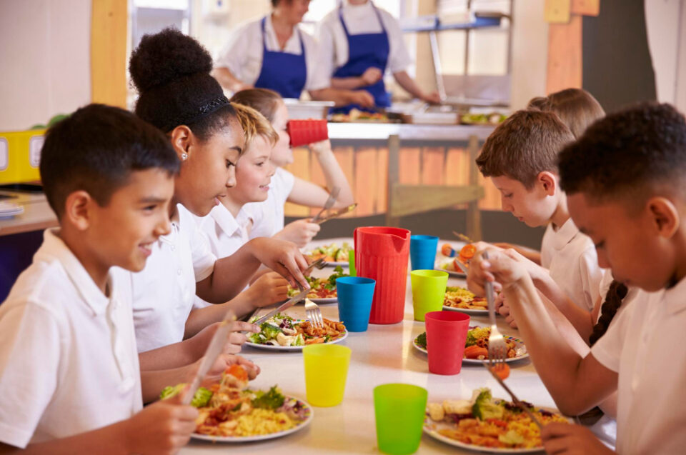 California to Prohibit Ultra-Processed Foods in School Lunches Bakery and Cereal, ban, California, confectionery, food policy, Frozen, health, Health & Wellness, legislation, nutrition, Refrigerated, Savoury Snacks, school lunches, Shelf-stable, ultra-processed foods Food and Beverage Business