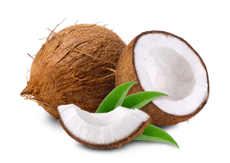 Century Pacific Foods Acquires Additional Coconut Products Factory business news, Century Pacific Food, coconut products, factory acquisition, Food Industry Food and Beverage Business