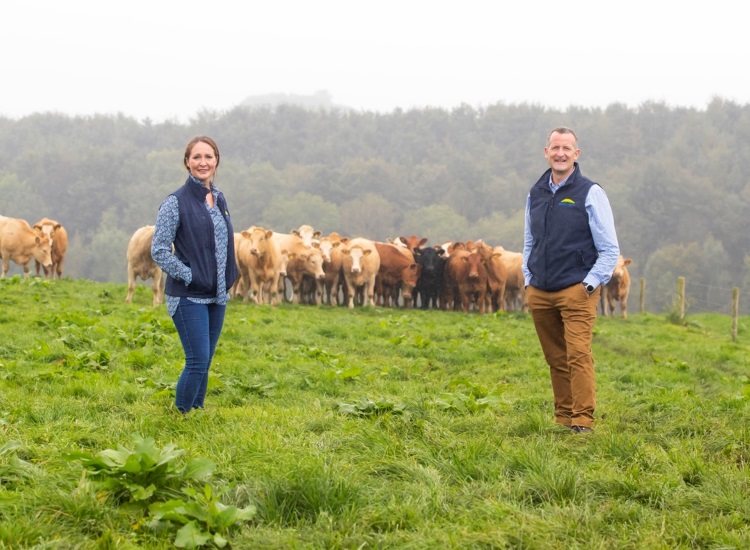 Dawn Meats Announces a 63% Decrease in Scope 1 and 2 Emissions. corporate responsibility., Dawn Meats, emission reduction, environmental impact, Meat Industry, Scope 1 emissions, Scope 2 emissions, Sustainability Food and Beverage Business