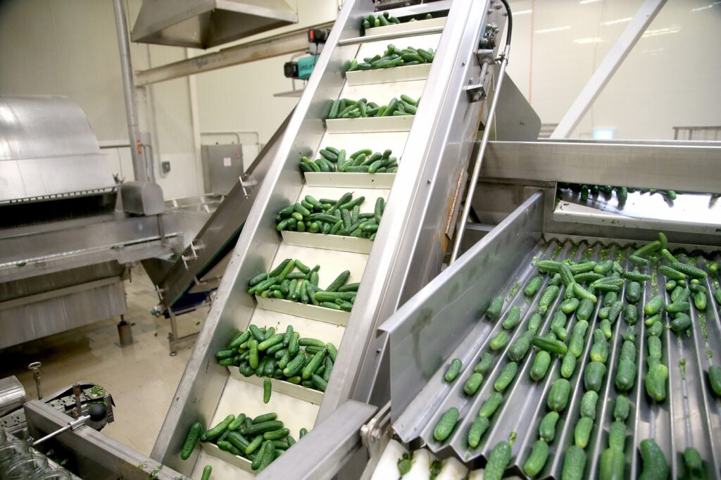 Smarter Movement: The Next Generation of Food Conveying Food and Beverage Business Smarter Movement: The Next Generation of Food Conveying AI vision conveyor, energy efficient conveyors, Extended Producer Responsibility UK, food conveyors UK, hygienic conveyor design, permanent magnet motors, predictive maintenance food factory, robot ready conveyors, Simpler Recycling legislation, zero pressure accumulation Food and Beverage Business food conveyors UK,energy efficient conveyors,hygienic conveyor design,predictive maintenance food factory,AI vision conveyor,robot ready conveyors,zero pressure accumulation,permanent magnet motors,Simpler Recycling legislation,Extended Producer Responsibility UK