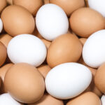 JBS US Acquires Hickman’s Egg Ranch JBS Food and Beverage Business