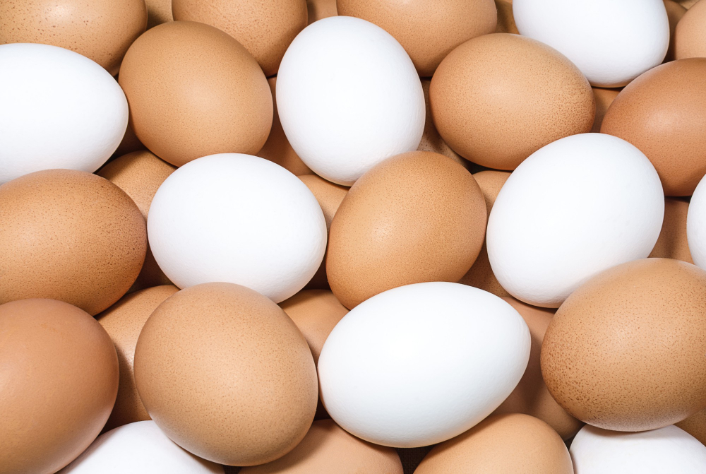 JBS US Acquires Hickman’s Egg Ranch JBS Food and Beverage Business