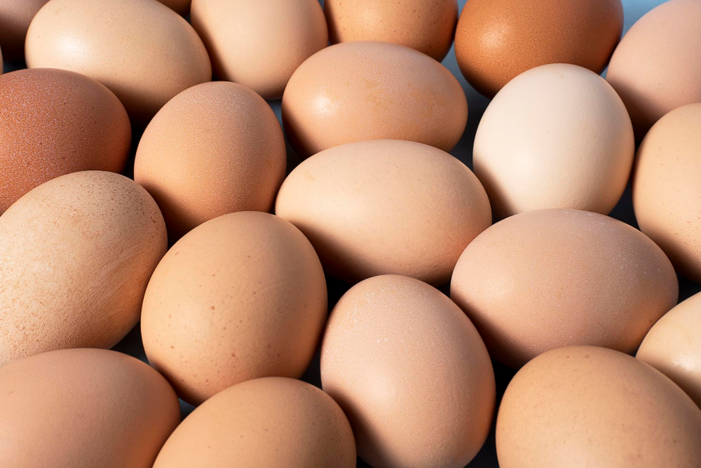 The UK Egg Centre Partners with The Hardeman Group and Bumble Hole Foods in Strategic Joint Venture Agriculture, Bumble Hole Foods, business collaboration, Food Industry, Hardeman Group, partnership, strategic joint venture, UK Egg Centre Food and Beverage Business