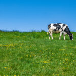 Demand for Environmental Impact Labeling Amidst Consumer Misconceptions Awareness, consumer behavior, consumers, eco-friendly, environmental impact, fresh, healthy eating, Labelling, misconceptions, organic, self-sufficiency, Sustainability, wholesome Food and Beverage Business