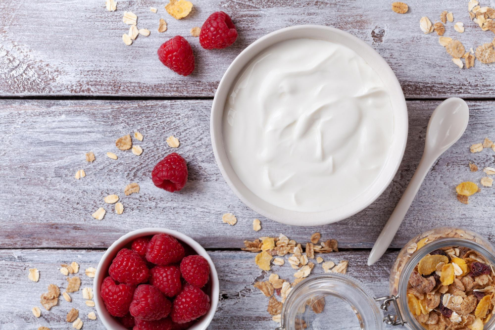 Danone to Invest in Canada to Address Growing Yogurt Demand Canada, Danone, demand, invest, Yogurt Food and Beverage Business