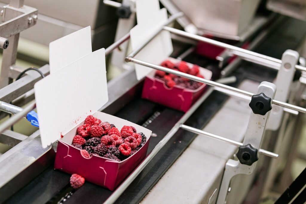 Transforming Sorting and Weighing: From Automation to Intelligent Control in Food Manufacturing checkweighing, digital twins, EMFR weighing, EPR Packaging, food manufacturing automation, food sorting technology, Food traceability, FSMA 204, hyperspectral imaging, Industry 5.0 Food and Beverage Business food sorting technology,checkweighing,EMFR weighing,hyperspectral imaging,Industry 5.0,food traceability,FSMA 204,EPR packaging,digital twins,food manufacturing automation