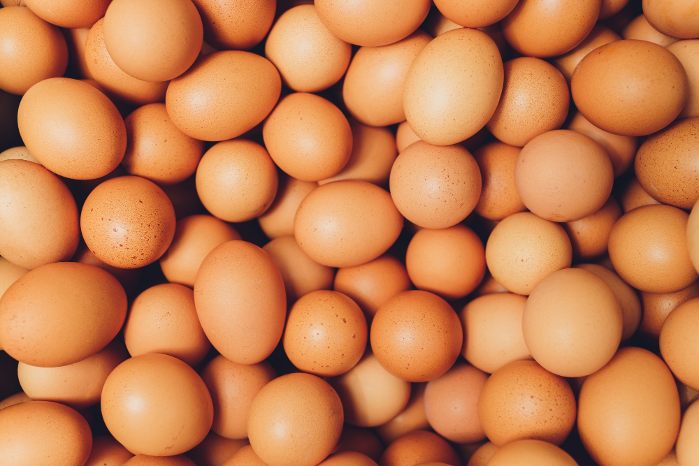 Agrova International Secures Investment Funding eggs, meat Food and Beverage Business