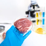 FSA and FSS Release the UK’s First Safety Guidelines for Lab-Grown Meat cultured, handgloves, testquality Food and Beverage Business