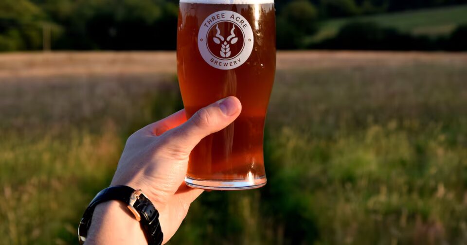 Three Acre Brewery, an Independent Sussex Brewery, Plans to Double in Size Amid Rising Demand for Craft Ale. Food and Beverage Business
