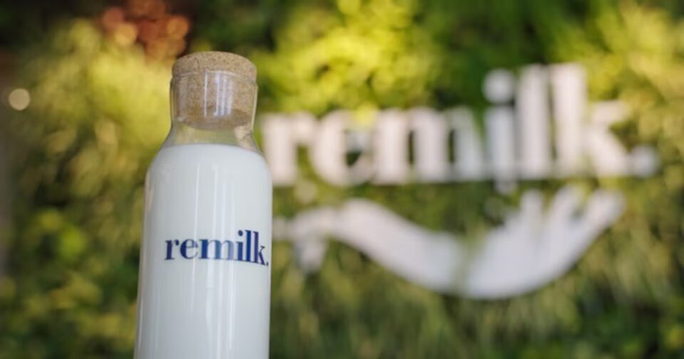 World's First Cow-Free Barista Milk Debuts in Coffee Shops Agriculture, animal, animals and pets, Blue, blue sky, Bull, cattle, concepts and ideas, cow, dairy farm, Environment, Farm, food, Grass, grazing, healthy eating, healthy lifestyle, holstein cattle, industry, Livestock, mammal, mammals, Meadow, meat, Nature, non-urban scene, outdoors, pasture, Power, Ranch, rural scene, save energy, standing, steak, sustainable resources, technology, tower, turbine, warming up, wind power, wind turbine Food and Beverage Business