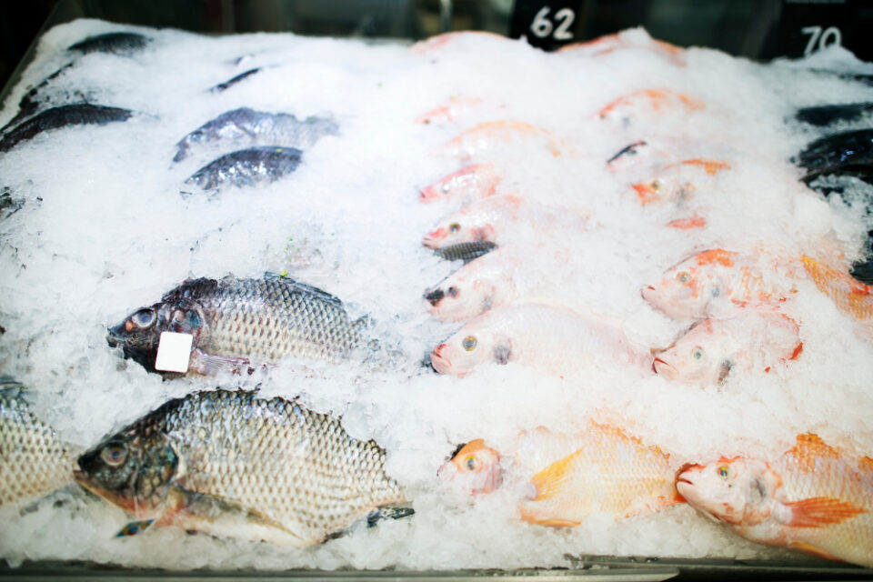 Norway Achieves Record Sales in Seafood Exports Fish & Seafood, Frozen, Refrigerated, Shelf-stable Food and Beverage Business
