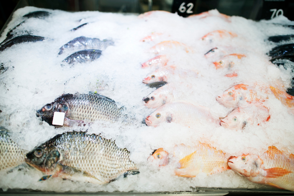 Norway Achieves Record Sales in Seafood Exports Fish & Seafood, Frozen, Refrigerated, Shelf-stable Food and Beverage Business