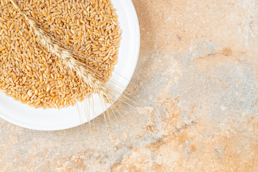 Cerealis and Better Foods Join Forces for Milling Operations Merger in Portugal Bakery and Cereal Food and Beverage Business
