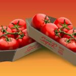 DS Smith and Serele SupeR Partner to Eliminate Single-Use Plastics with Eco-Friendly Fiber-Based Packaging Corrugated, food and drink packaging, food and drink sustainable packaging, Food packaging, paper, Recyclability Food and Beverage Business