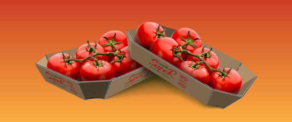 DS Smith and Serele SupeR Partner to Eliminate Single-Use Plastics with Eco-Friendly Fiber-Based Packaging Corrugated, food and drink packaging, food and drink sustainable packaging, Food packaging, paper, Recyclability Food and Beverage Business