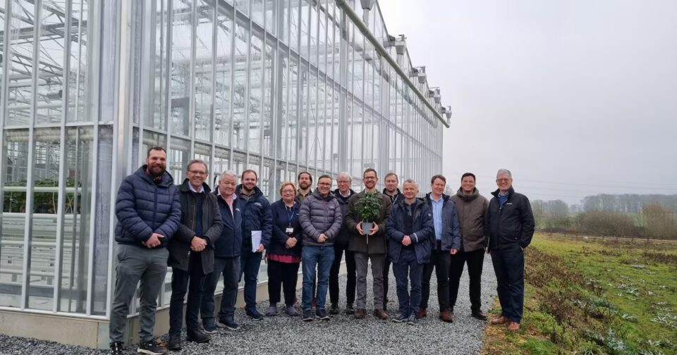 £3M Grant for CambridgeHOK’s Precision Breeding Initiative Aiming to Revive UK Tomato Industry Food and Beverage Business