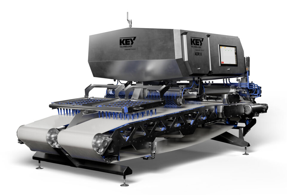 Key Technology Introduces New ADR® X for Potato Strips Food and Beverage Business
