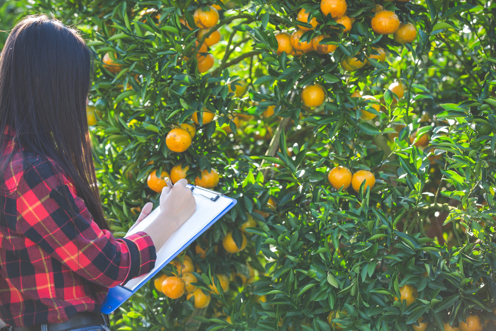Tate & Lyle Expands Circular Economy Partnership Food and Beverage Business Tate & Lyle Expands Circular Economy Partnership circular economy, Collaboration, Food Industry, partnership, supply chain, Sustainability, Tate & Lyle Food and Beverage Business