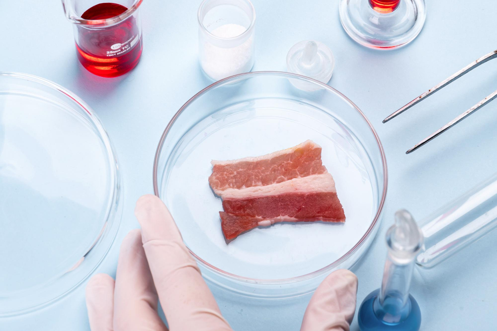FSA and FSS Uncover Future Food Trends in Latest Report Food Industry, food research, food safety, FSA, FSS, future food trends, report Food and Beverage Business