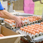 Cal-Maine Invests in Another U.S. Egg Company Cal-Maine Foods Food and Beverage Business