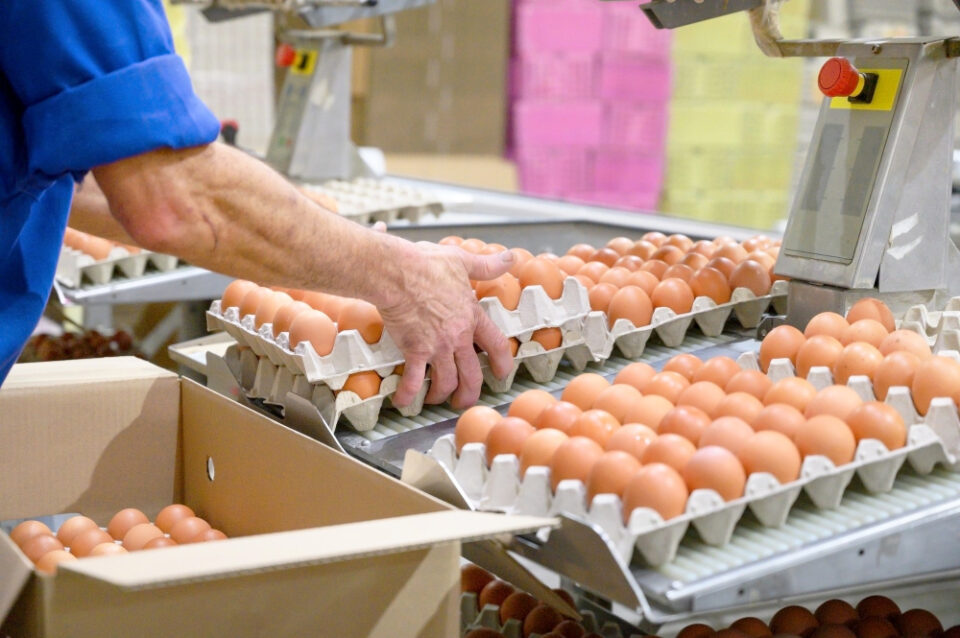 Cal-Maine Invests in Another U.S. Egg Company Cal-Maine Foods Food and Beverage Business