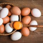Global Eggs Secures Investment from Private Equity Firm Warburg Pincus Global Eggs Food and Beverage Business